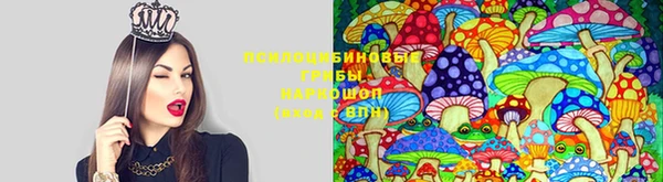 соль ск Бугульма