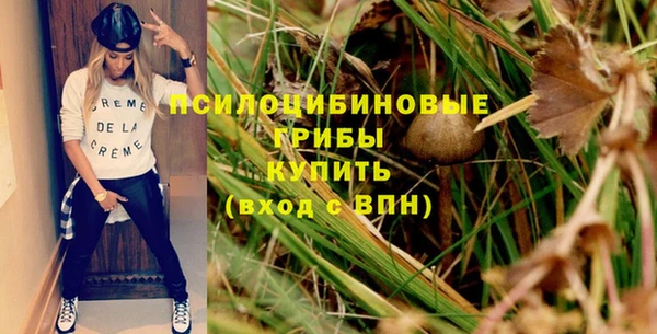 соль ск Бородино