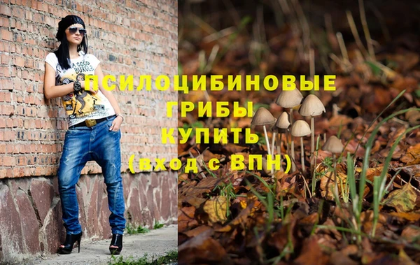соль ск Бородино