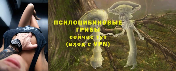 соль ск Бородино
