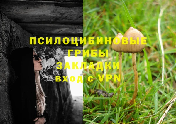 соль ск Бугульма