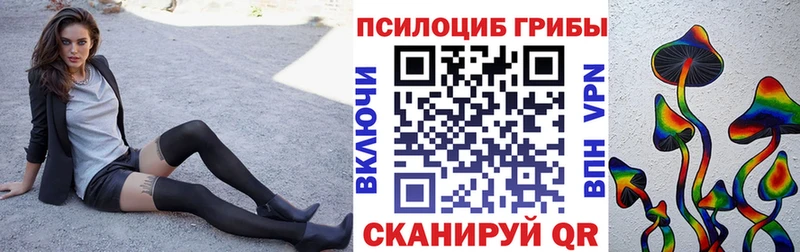 блэк спрут рабочий сайт как найти наркотики Когалым Галлюциногенные грибы Psilocybe
